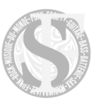 logo FS rond02